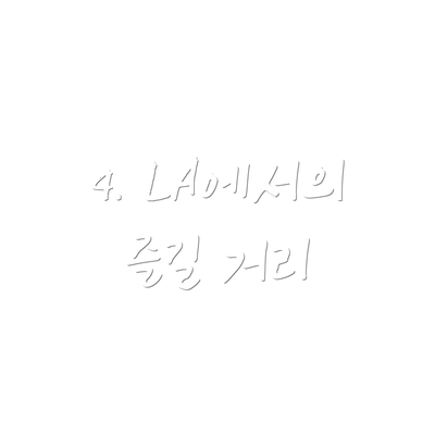 4. LA에서의 즐길 거리