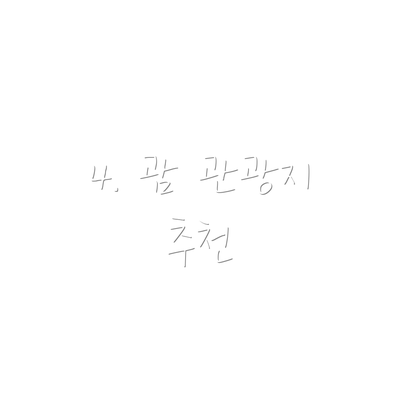 4. 괌 관광지 추천