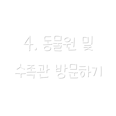 4. 동물원 및 수족관 방문하기