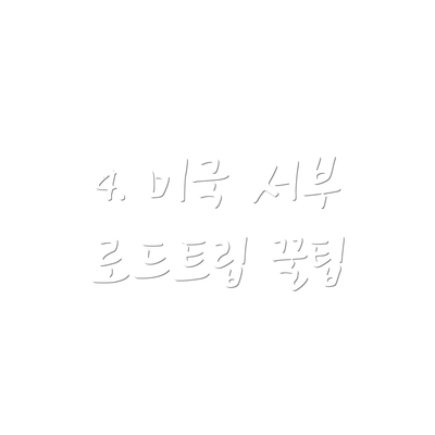 4. 미국 서부 로드트립 꿀팁