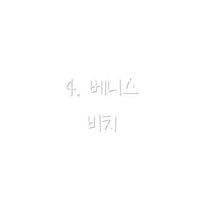4. 베니스 비치