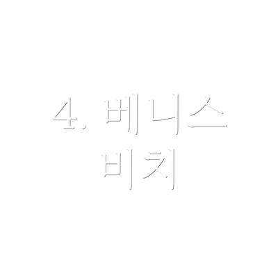 4. 베니스 비치