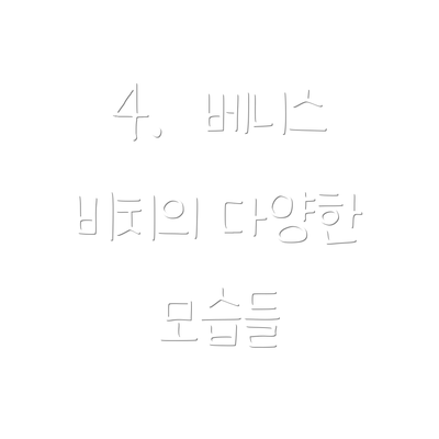 4.  베니스 비치의 다양한 모습들
