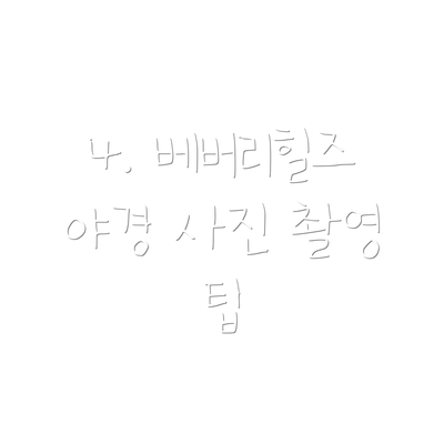 4. 베버리힐즈 야경 사진 촬영 팁