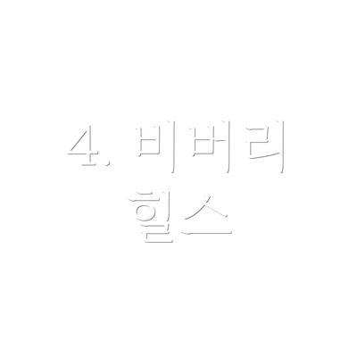 4. 비버리 힐스
