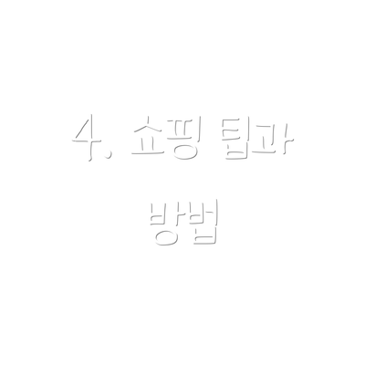 4. 쇼핑 팁과 방법