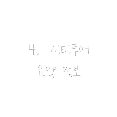 4.  시티투어 요약 정보