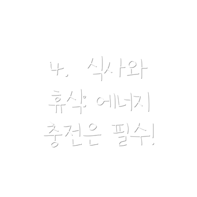4.  식사와 휴식: 에너지 충전은 필수!