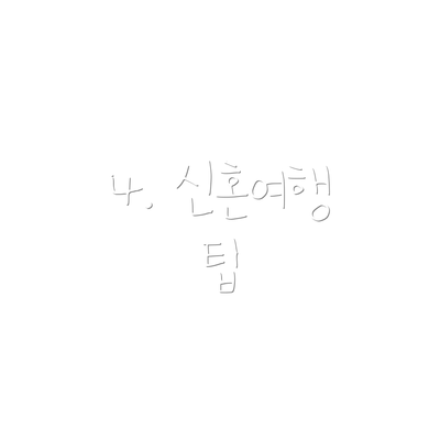 4. 신혼여행 팁