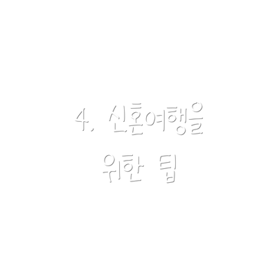 4. 신혼여행을 위한 팁
