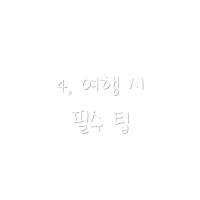 4. 여행 시 필수 팁