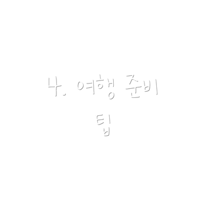 4. 여행 준비 팁
