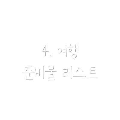 4. 여행 준비물 리스트