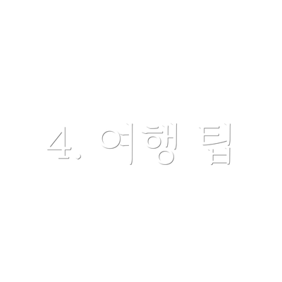 4. 여행 팁