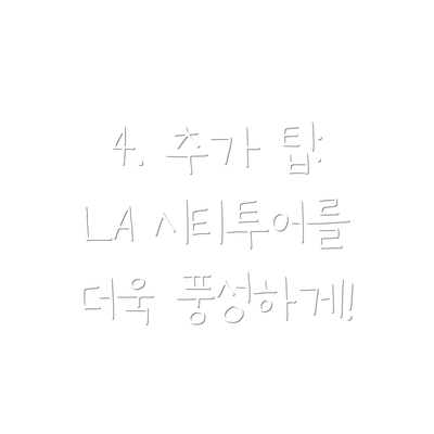 4. 추가 팁:  LA 시티투어를 더욱 풍성하게!