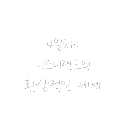 4일차:  디즈니랜드의 환상적인 세계