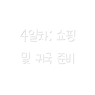 4일차: 쇼핑 및 귀국 준비