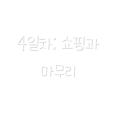 4일차: 쇼핑과 마무리