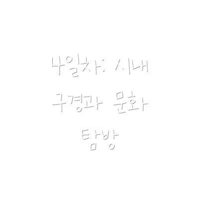 4일차: 시내 구경과 문화 탐방