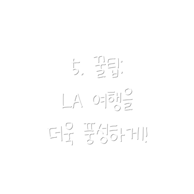 5. 꿀팁: LA 여행을 더욱 풍성하게!