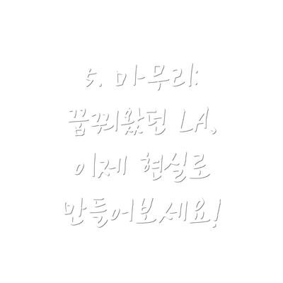 5. 마무리: 꿈꿔왔던 LA, 이제 현실로 만들어보세요!