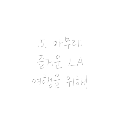 5. 마무리:  즐거운 LA 여행을 위해!