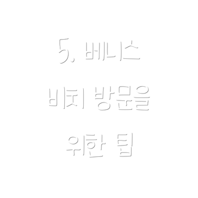 5. 베니스 비치 방문을 위한 팁