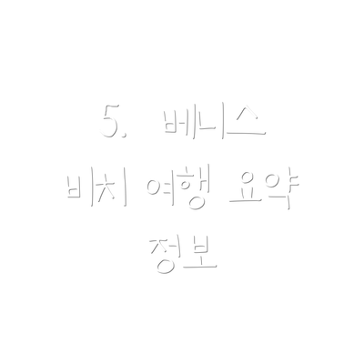 5.  베니스 비치 여행 요약 정보