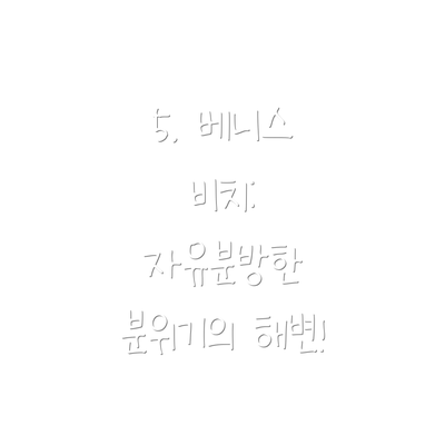 5. 베니스 비치: 자유분방한 분위기의 해변!