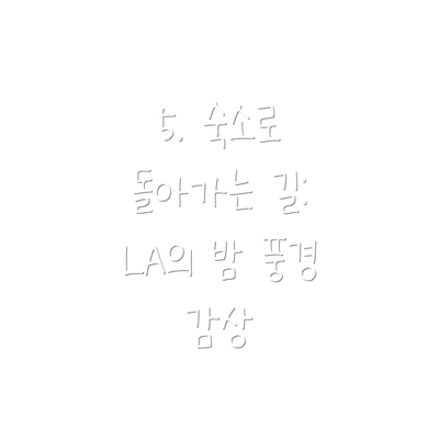 5. 숙소로 돌아가는 길: LA의 밤 풍경 감상