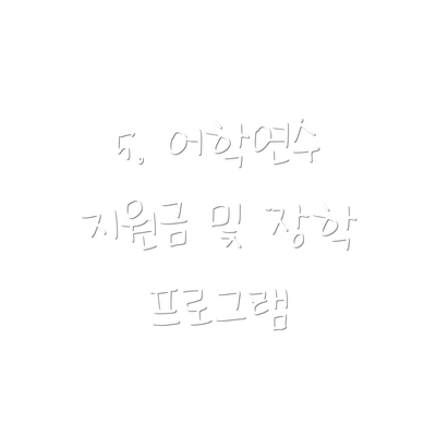 5. 어학연수 지원금 및 장학 프로그램