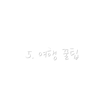 5. 여행 꿀팁