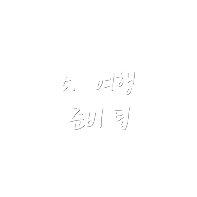 5.  여행 준비 팁