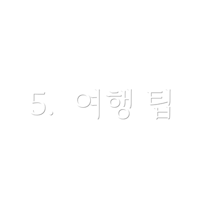 5.  여행 팁