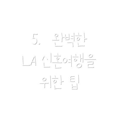 5.  완벽한 LA 신혼여행을 위한 팁