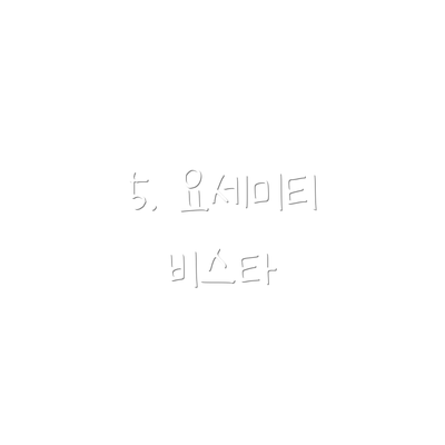 5. 요세미티 비스타