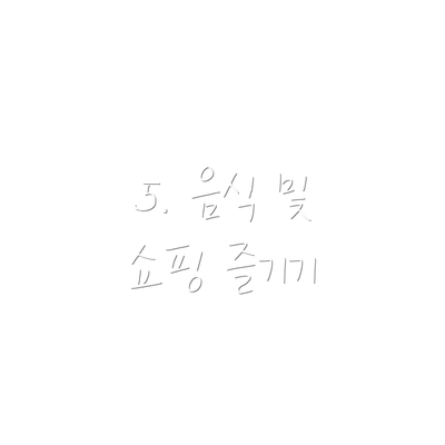 5. 음식 및 쇼핑 즐기기