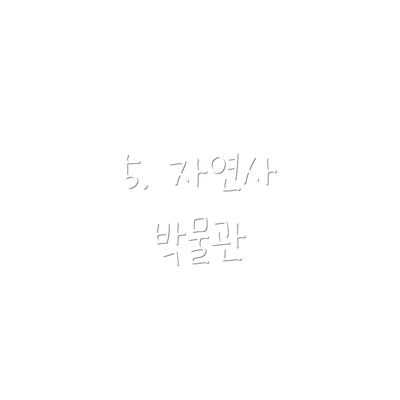 5. 자연사 박물관