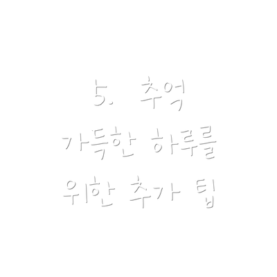 5.  추억 가득한 하루를 위한 추가 팁