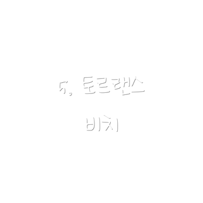 5. 토르랜스 비치