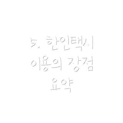 5. 한인택시 이용의 장점 요약