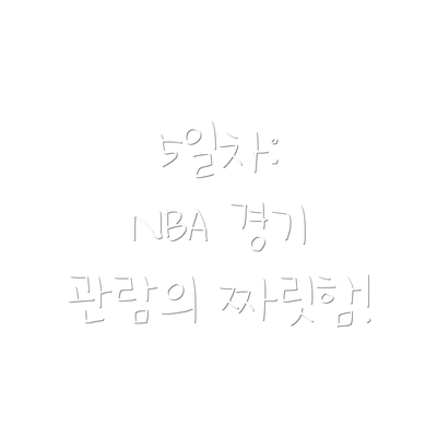 5일차:  NBA 경기 관람의 짜릿함!