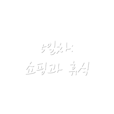 5일차:  쇼핑과 휴식