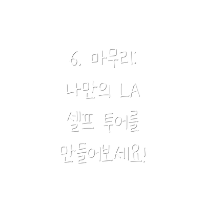 6. 마무리: 나만의 LA 셀프 투어를 만들어보세요!