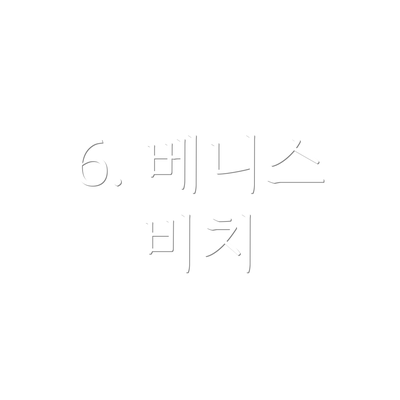 6. 베니스 비치