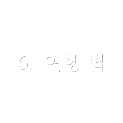 6.  여행 팁