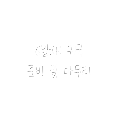 6일차: 귀국 준비 및 마무리