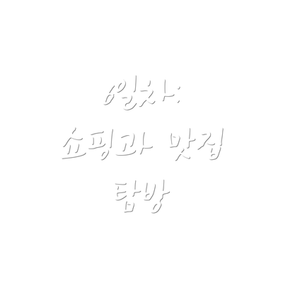6일차:  쇼핑과 맛집 탐방