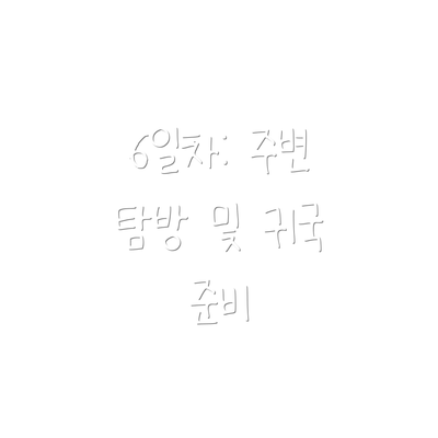 6일차: 주변 탐방 및 귀국 준비