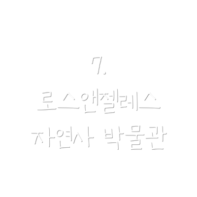 7. 로스앤젤레스 자연사 박물관